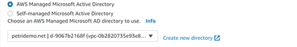 we will be using AWS Managed Microsoft AD.