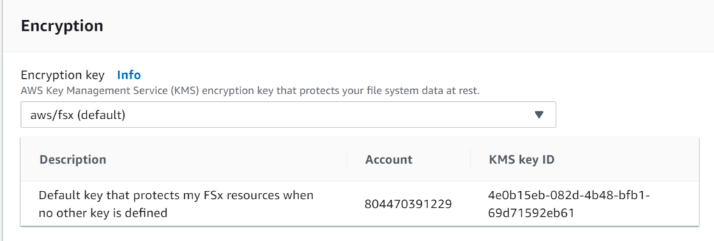 data at rest encryption will use the AWS platform managed key by default