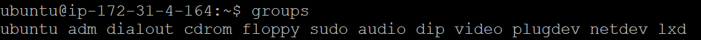 The groups command show all primary groups on Linux