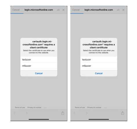 Identity Cba Microsoft Cba Authentication : Passwordless authentication options for ...